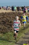 Click on thumbnail for larger photo