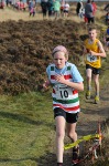 Click on thumbnail for larger photo