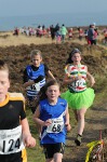 Click on thumbnail for larger photo