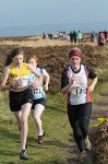 Click on thumbnail for larger photo