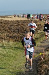 Click on thumbnail for larger photo