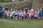 Click on thumbnail for larger photo