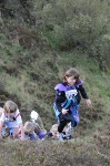 Click on thumbnail for larger photo