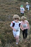 Click on thumbnail for larger photo