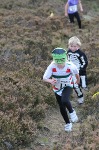 Click on thumbnail for larger photo