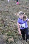 Click on thumbnail for larger photo