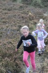 Click on thumbnail for larger photo