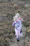 Click on thumbnail for larger photo