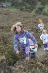 Click on thumbnail for larger photo