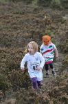 Click on thumbnail for larger photo