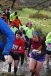 Click on thumbnail for larger photo