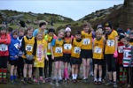 Click on thumbnail for larger photo