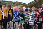 Click on thumbnail for larger photo
