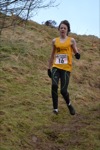 Click on thumbnail for larger photo