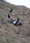 Click on thumbnail for larger photo