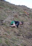 Click on thumbnail for larger photo