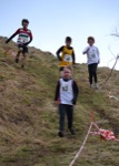 Click on thumbnail for larger photo