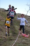 Click on thumbnail for larger photo
