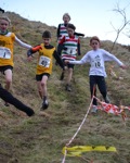 Click on thumbnail for larger photo