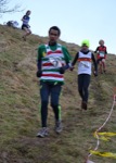 Click on thumbnail for larger photo
