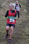 Click on thumbnail for larger photo