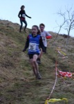 Click on thumbnail for larger photo