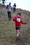 Click on thumbnail for larger photo