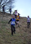 Click on thumbnail for larger photo