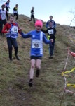 Click on thumbnail for larger photo