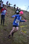 Click on thumbnail for larger photo