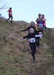 Click on thumbnail for larger photo