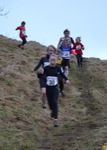 Click on thumbnail for larger photo