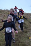 Click on thumbnail for larger photo