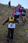 Click on thumbnail for larger photo