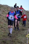 Click on thumbnail for larger photo