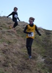 Click on thumbnail for larger photo