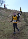 Click on thumbnail for larger photo