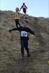 Click on thumbnail for larger photo