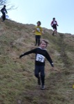Click on thumbnail for larger photo