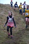 Click on thumbnail for larger photo