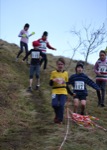 Click on thumbnail for larger photo