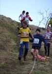 Click on thumbnail for larger photo