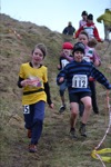 Click on thumbnail for larger photo