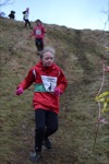 Click on thumbnail for larger photo