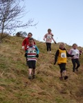 Click on thumbnail for larger photo