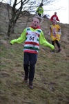 Click on thumbnail for larger photo