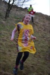 Click on thumbnail for larger photo