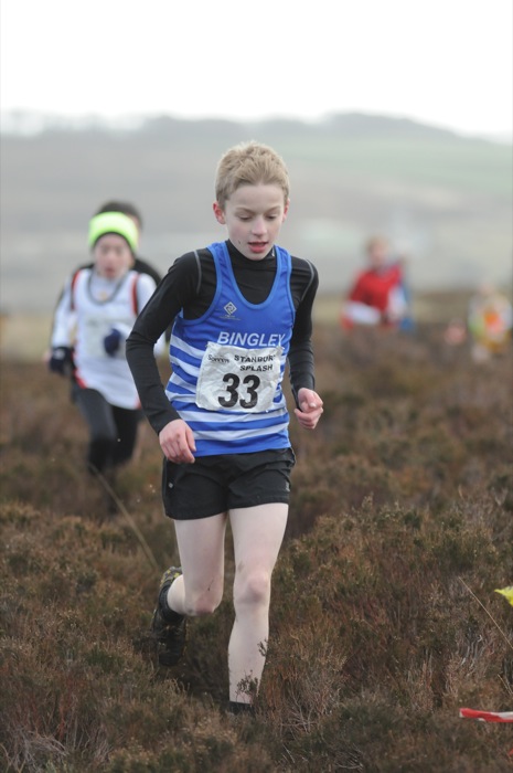 Photo DSC_6981.JPG copyright &copy; 2013 Paul Wood