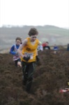 Click on thumbnail for larger photo