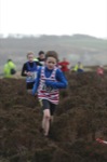 Click on thumbnail for larger photo